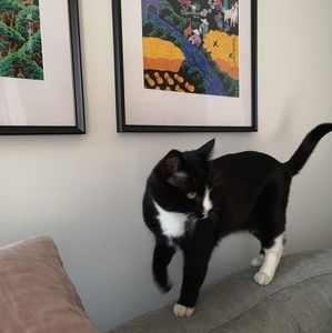 Meet your Posher, Lisa